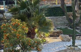 Willy coccon d'amour - Foto 28