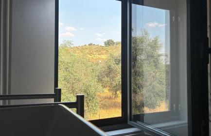 Quinta d'Abegoa - Foto 11