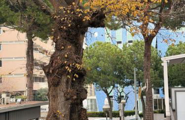 Arya & Sole Home- nel cuore di Marina Centro, Rimini - Photo 12