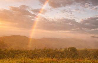 Agriturismo Mulinaccino - Foto 21