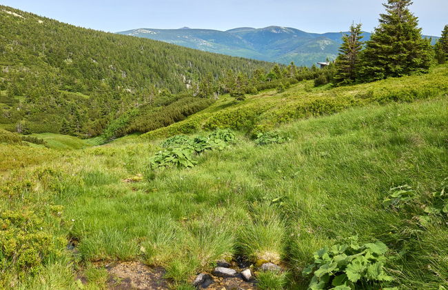 Horní Mísečky - Foto 57