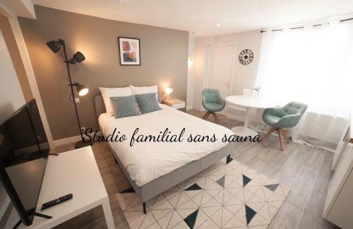 PRESTIGELOC - 3 Studios au Choix - 2 avec Sauna privé gratuit, 1 avec 3 Couchages, Centre-ville - Foto 5