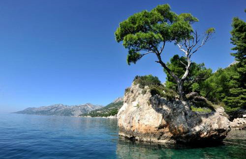 Apartments Villa Tomislav - Foto 56