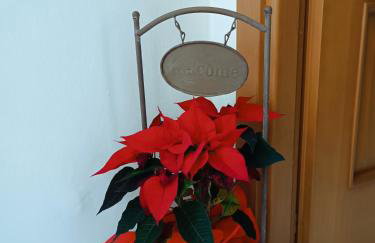 Casa da Lucy-Monsummano Terme - Foto 13