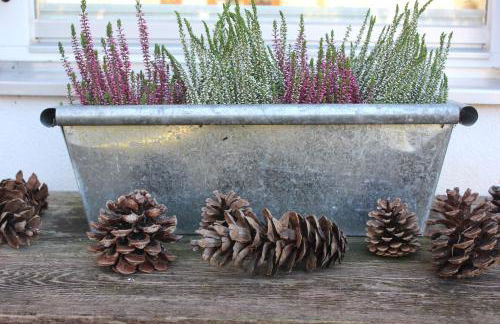 Ferienwohnungen Almrausch - Foto 11