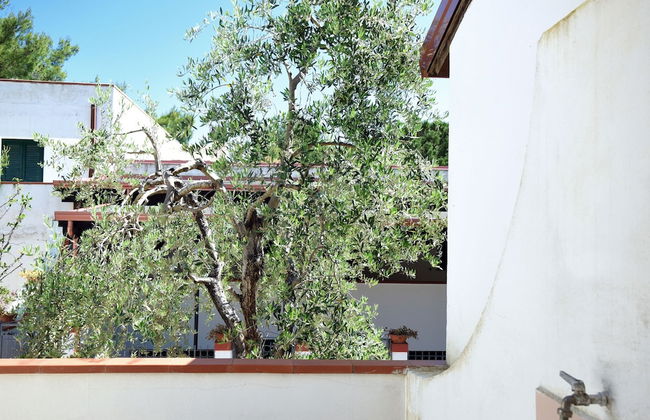 Peschici Mare - Foto 23