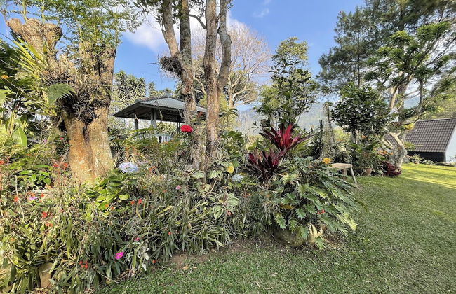 Villa 325 By Zuzu - Photo 60