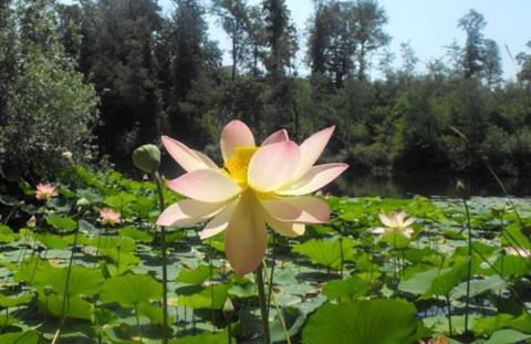 Agriturismo Tenuta la Marchesa - Foto 14