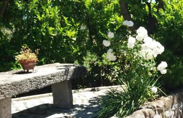 Casa do Forno da Aldeia - Serra da Estrela - Foto 47