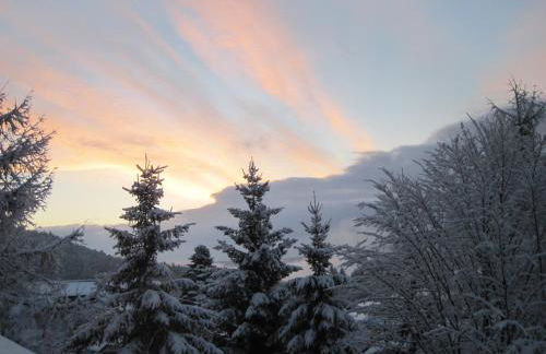 Appartementhaus Schwarzwaldblick - Foto 54