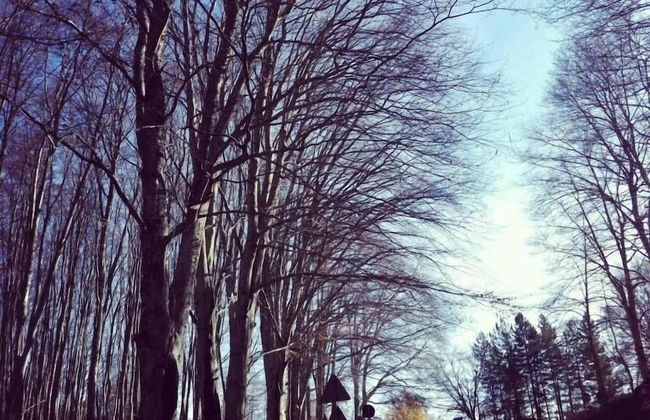 B&B da Ronald...a Pian del Papa - Foto 20