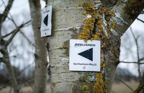Eifel21 - stilvolles Haus in der Vulkaneifel - Foto 37