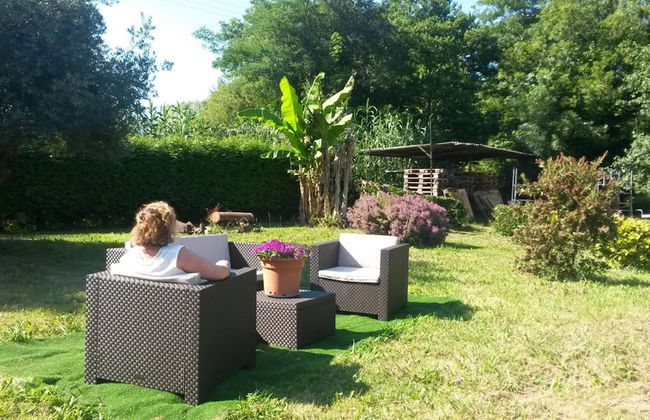 Agroturismo Ibarrondo Etxea - Foto 39