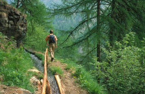 Residence Feldhof - Foto 24