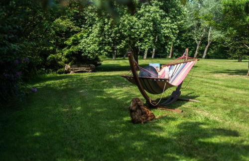 The Old Millhouse - Luxury Retreat with Sauna, Cold Plunge, Yoga & Swim SPA - Photo 43