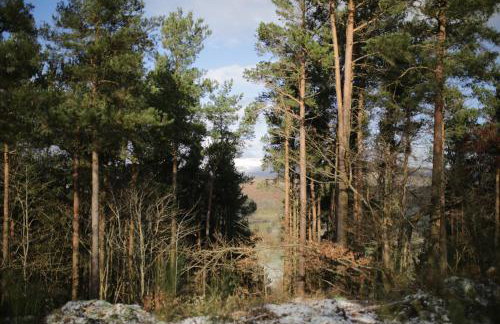 Two unique cabins wrapped in beautiful welsh scenery - Foto 72