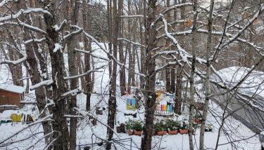 La casa della Lavanda - Foto 2