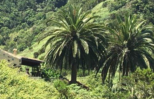 Casa Rural El Rincón de Antonia - Foto 63