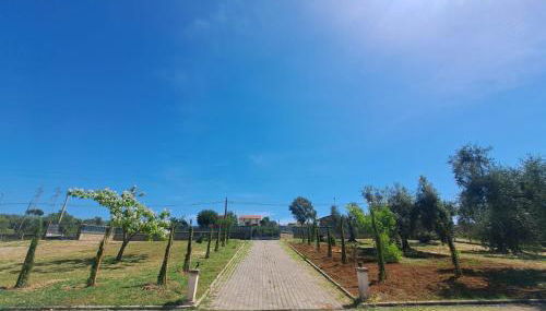 Casa La Giuggiola - Foto 4, Garden