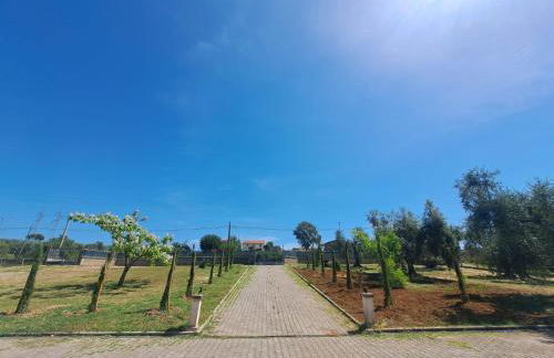 Casa La Giuggiola - Foto 4