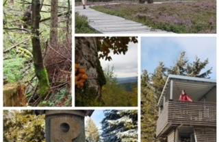 Ferienwohnung Am Rimbach - Foto 25