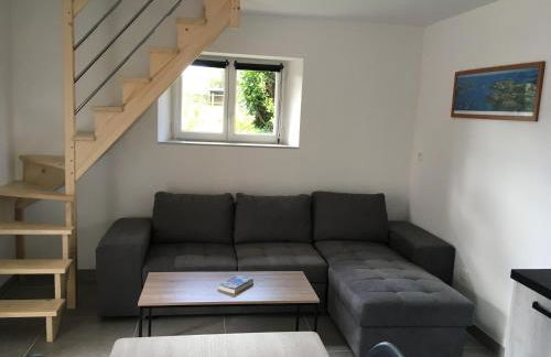 la violette - Foto 2