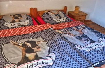 Forsthaus Sommerleite - Photo 6