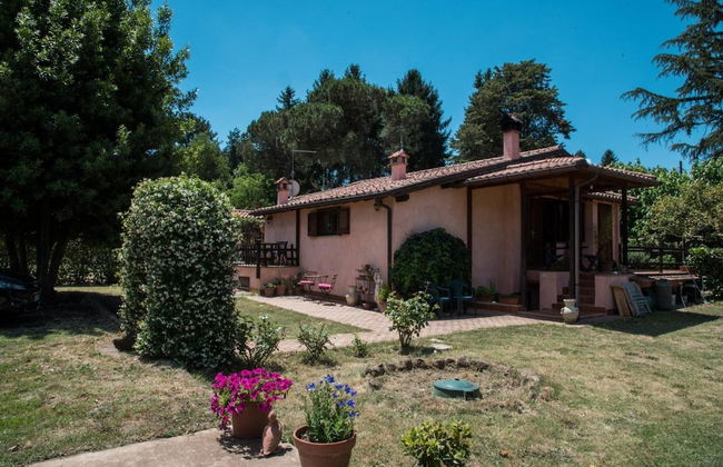 Olive Tree Hill - Foto 26