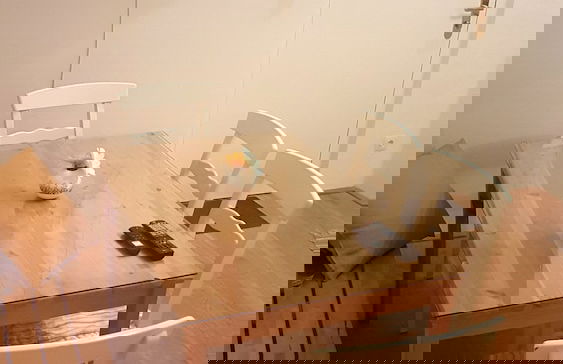 Sobieski City Center Apartments - Foto 15