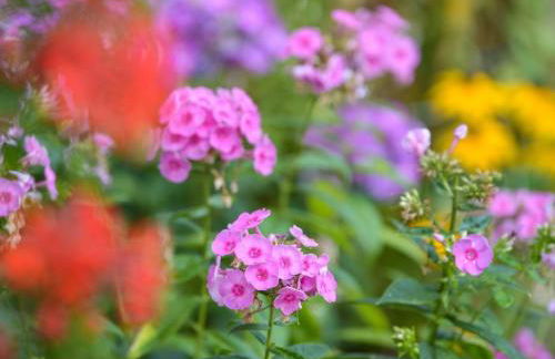 Ferienwohnung Bergfranzenhof - Foto 15