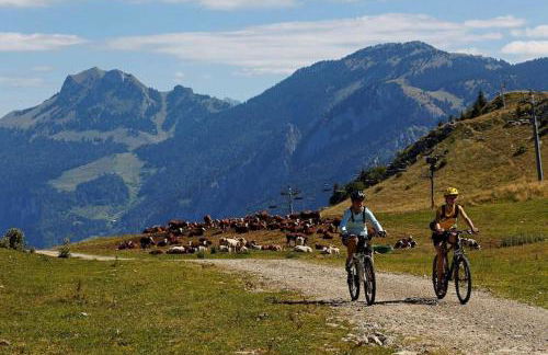 appartement montagne la vallée verte cœur station Hirmentaz - Foto 18