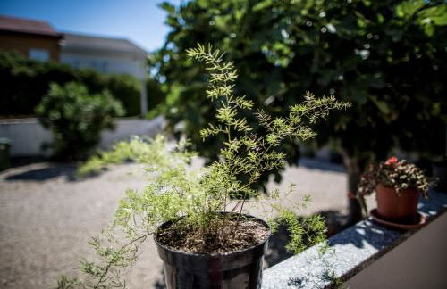 apartments VIGI - Foto 34