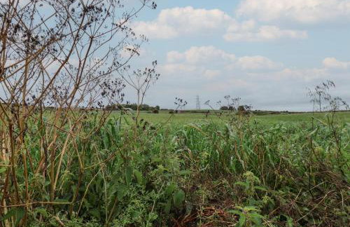 North Terrace - Foto 24