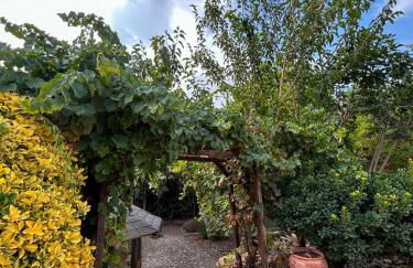 Finca Vitoria - Foto 23