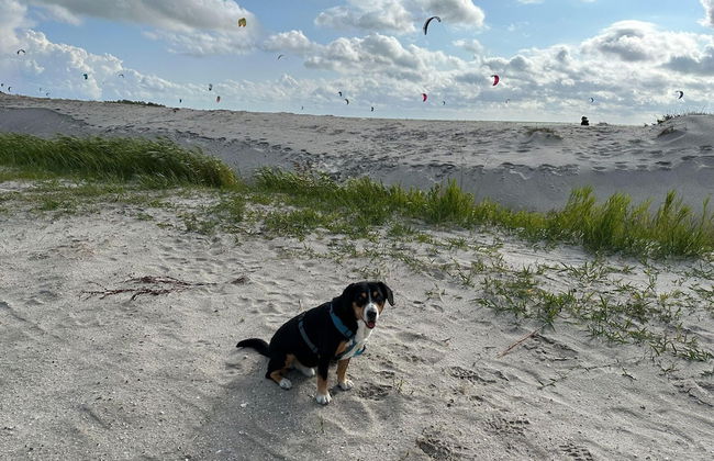 Peaceful Villa on the Water in Stavoren - Foto 38