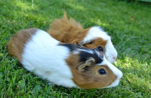 Andreashof - Foto 22