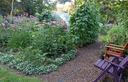 Dom Pod Złotym Bażantem - Foto 17