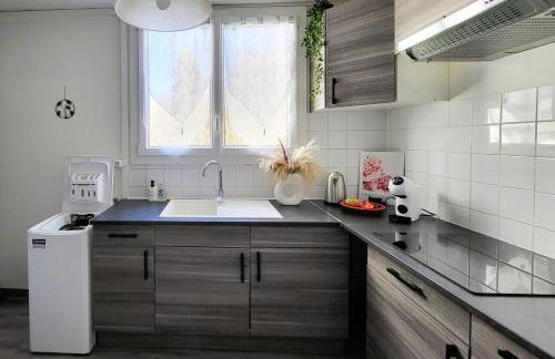 LE LOGIS DE L'ARQUEBUSE GARE, Centre ville et Cité Gastronomique - Foto 3