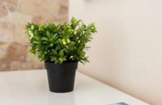 Αnastasia apartments - Foto 53