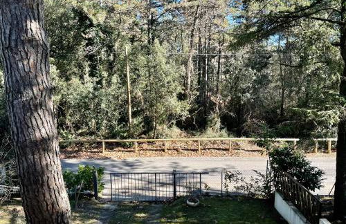 Villa Antonietta 4, Relax nella pineta - Foto 30