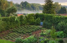 Czarnydomek - Foto 40