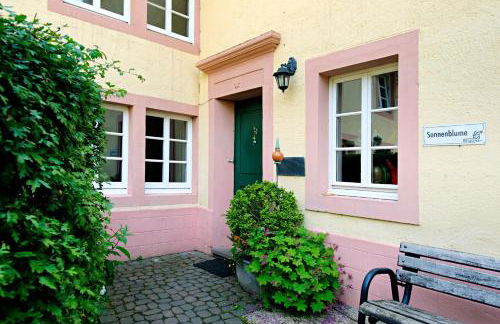 Nengshof Ferienhäuser Sonnenblume und Heublume - Foto 17