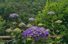 Apartamentos Rurales El Bosque de las Viñas - Photo 7