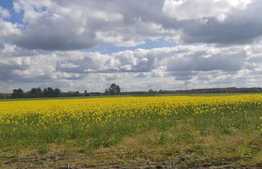 Casa de Corbelle - Foto 52