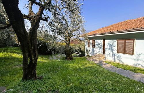 Appartamenti Belvedere - Foto 47