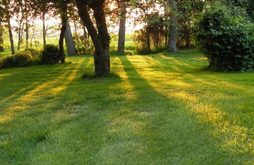 Altes Pastorenhus - Land und Meer - Foto 24