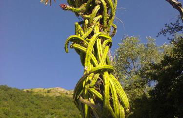 La Margherita di Teriasca - Foto 10