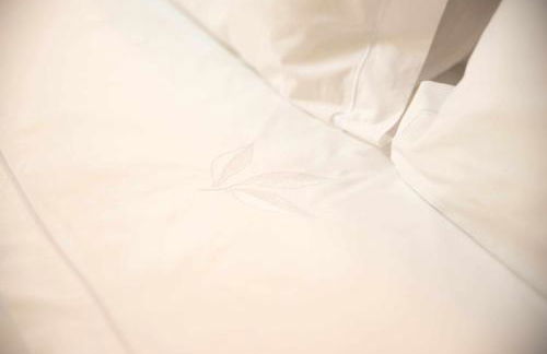 Casa Prosa - Santar - Foto 35