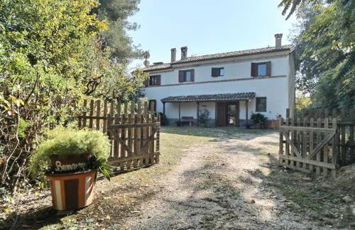 Boschetto sul mare - Foto 1