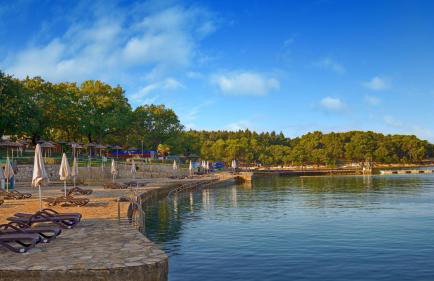 Rustic villa Karim with pool in Porec - Foto 35